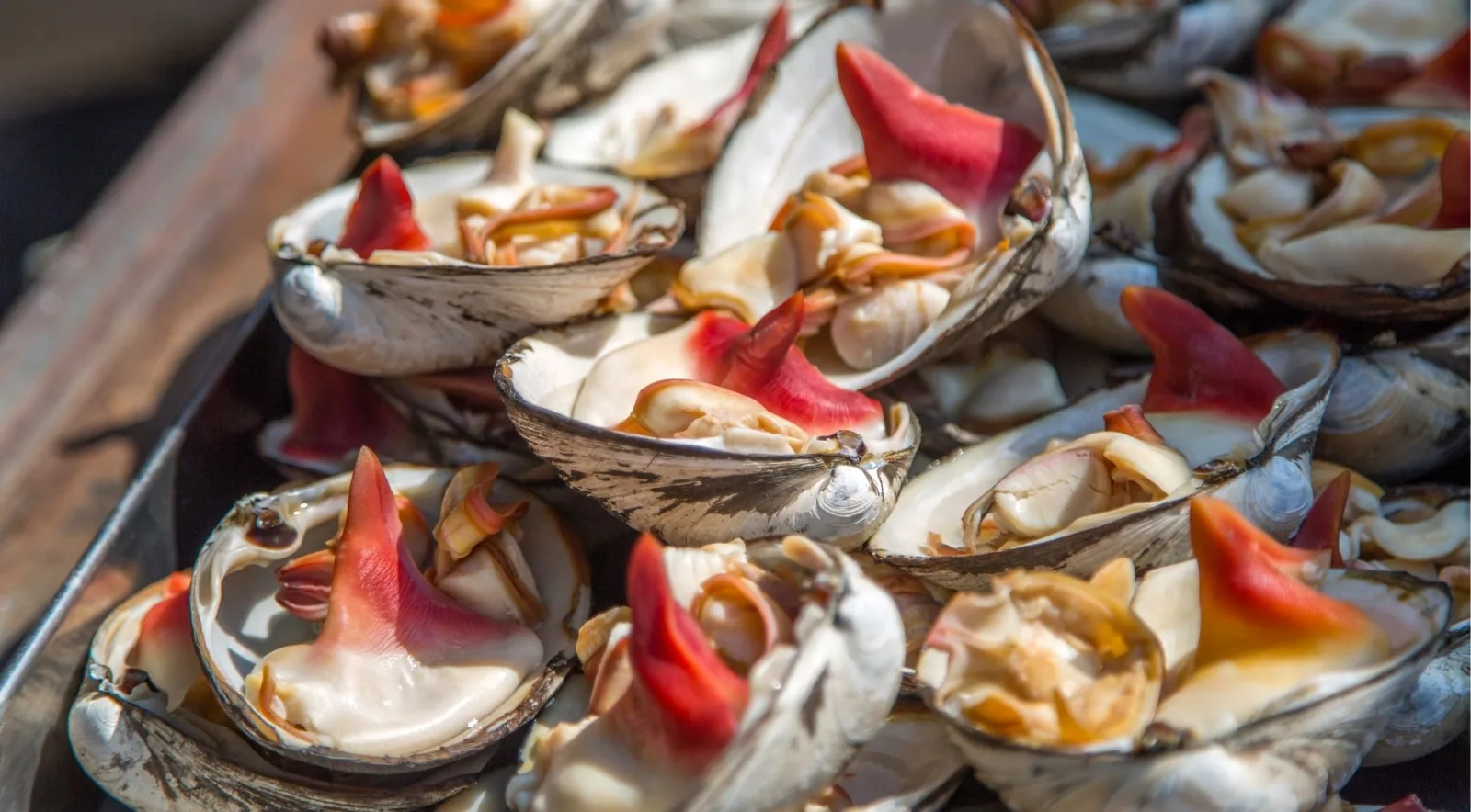 Fresh clams and shellfish displayed on a tray at a Japanese seafood market stall