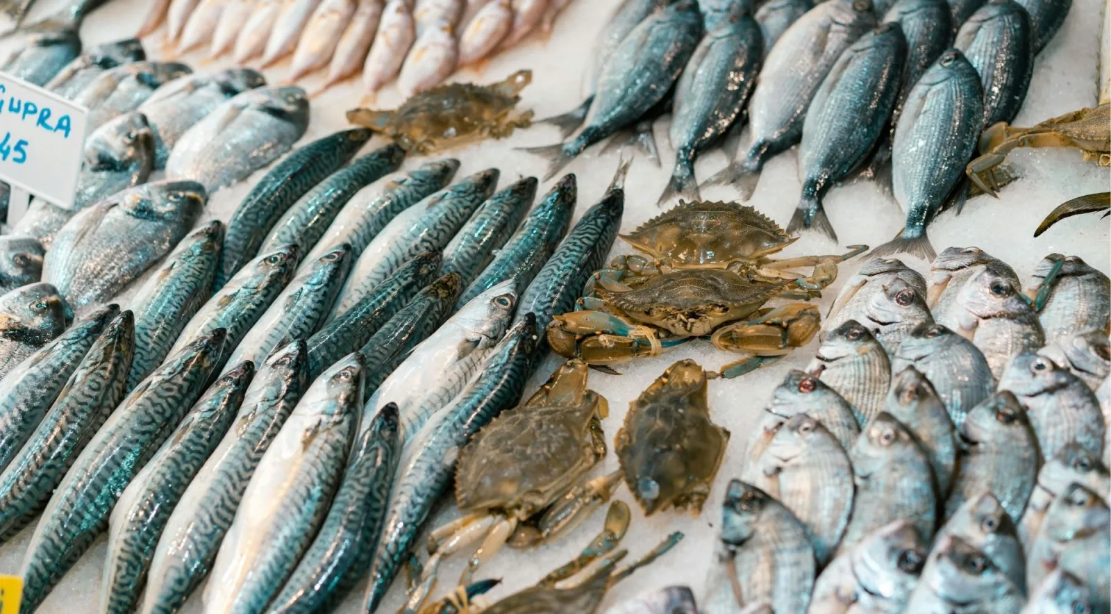 Fresh mackerel, sea bream, and blue crabs laid out on crushed ice at a wholesale market stall