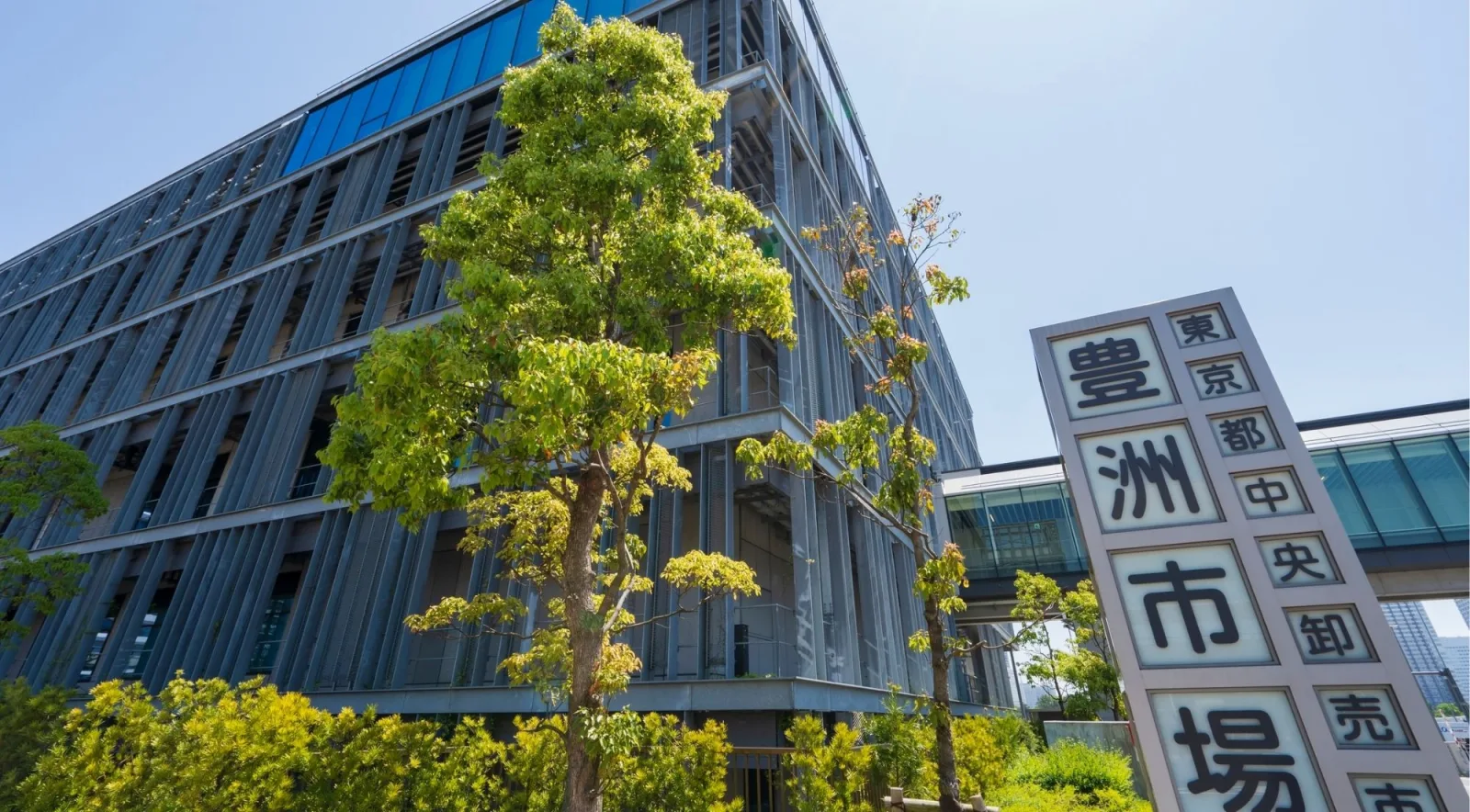 Toyosu Market building exterior with the Toyosu Market kanji sign and trees in the foreground