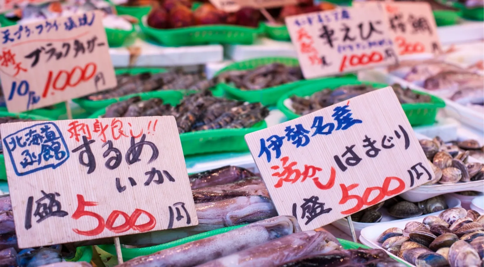 Japanese market stall with handwritten price signs in Japanese for squid and fresh Ise clams at 500 yen