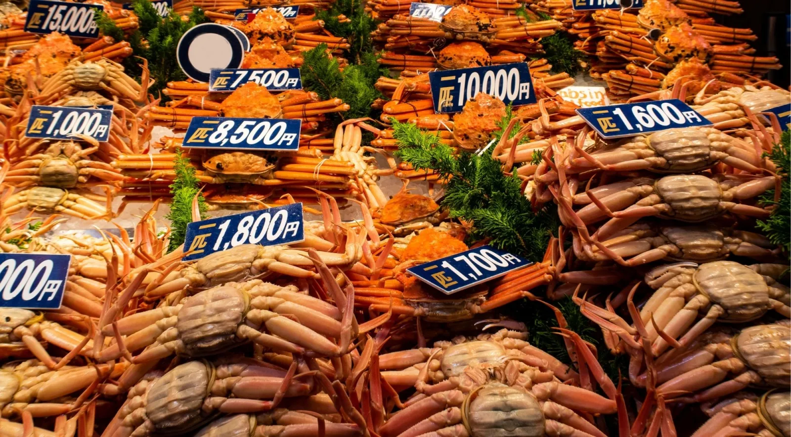 Japanese snow crabs (zuwaigani) stacked at a market counter with yen price tags displayed