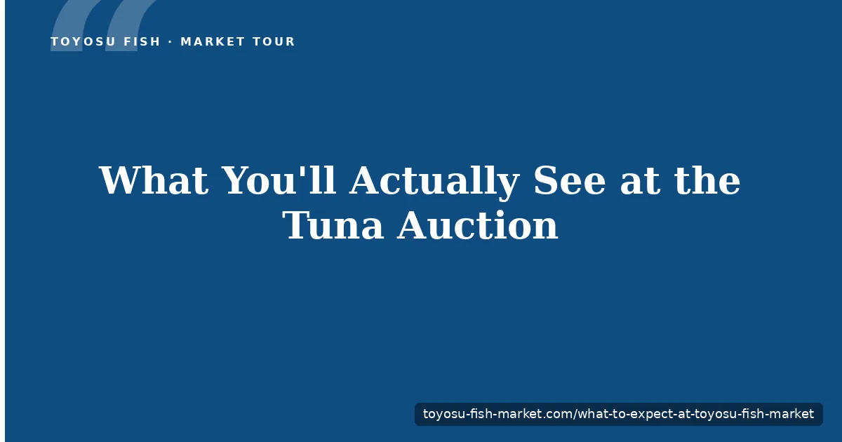 Visitors at the Toyosu Fish Market observation gallery watching the tuna auction at dawn